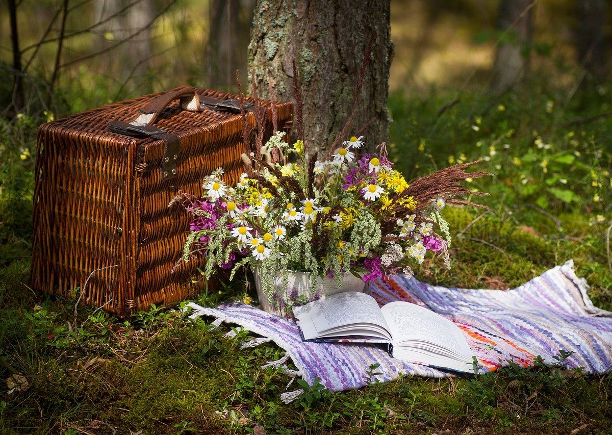 outdoor rugs for garden