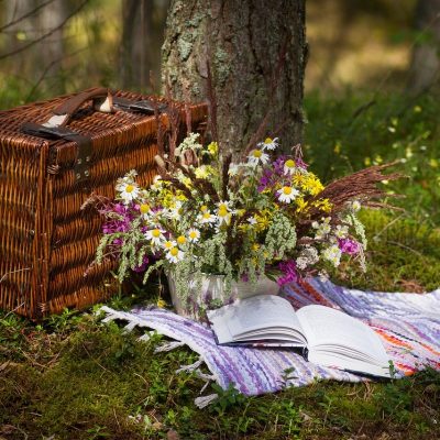 outdoor rugs for garden